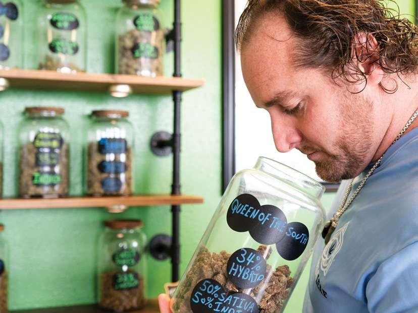 William Oboyle smelling jar of hemp flower