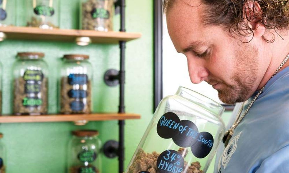 William Oboyle smelling jar of hemp flower